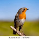 丁香五月开心婷婷综合 33t4a7r6ic