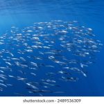 久久免费午夜福利院 48rupmek2k