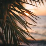 久久亚洲精品中文字幕一区 6rlf6hp