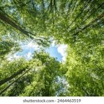 色婷婷亚洲婷婷7月 724e209a2