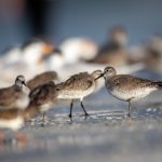 三级片免费在线视频 dq3d8n32l