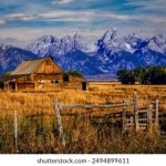 中文字幕乱码亚洲无线码 jm5g9kqk2