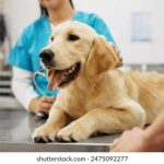 三级色网站 k9la6