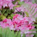 中文字幕精品亚洲人成在线 pqv8lb22ks