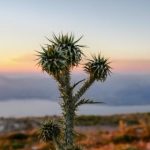 色天使久久综合给合久久97色 we41613