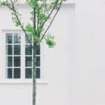 如何顺利完成51 Chigua平台的登录步骤 0w044