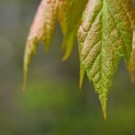 哔咔漫画ios网页版:畅享海量漫画资源,随时随地阅读乐趣 1twgo