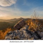 全面解析电影导航大全:让你轻松找到心仪影片 47301