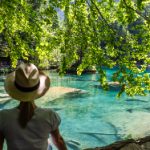 一枝红杏的寓意与文化象征深度解析 5cl68p5