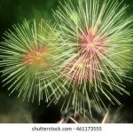 快猫短视频大厅:探索精彩短视频,尽享无限乐趣与创意 5vaoh1a