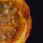 theync.com facebook:探索社交媒体上最具争议的视频内容平台 6a652d6pyj