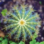 如何免费下载并安装芒果TV,畅享精彩视频内容 6t0mu