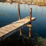 张津瑜视频完整版 张津瑜吕总:揭秘两位明星背后的故事与精彩瞬间 8uqfor2q