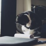 theync noticias:深入解析最新全球新闻动态与趋势 ai4tcvmm9z