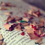 南小鸟日语:轻松掌握日语的最佳学习平台 b43m5uy6