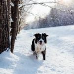 天翼导航:智能出行新选择,开启你的便捷旅程 d9sjdr