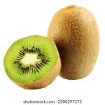 如何顺利完成 MagnetDL 登录步骤详解 dtzn8