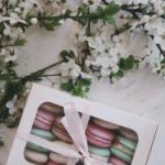 国产猛男Gay小蓝GⅤ2023:探索激情与友情的热血之旅 ex706j7m