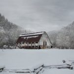 全面解析番号库搜索器使用教程:轻松找到你想要的资源 j9ae2p