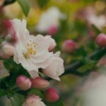 吃瓜91爆料:揭秘娱乐圈最新绯闻与内幕真相! k51icpe