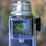 thz 桃花族thz:探索桃花族的文化与生活方式之美 lb48dl5z