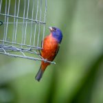 吃瓜91大神:揭秘网络热议事件背后的真相与趣闻 m5em2f