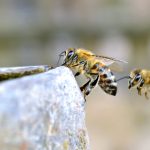 吃瓜91官网:最新娱乐八卦与热点新闻一站式平台 nzw44