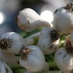 初恋时间1-40集:青春岁月中的甜蜜回忆与成长故事 p0unf00kh