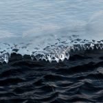 探索Hackney:英国伦敦的独特区域与魅力 21zy78