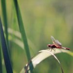 探索YP视频的魅力:如何找到最精彩的内容 2dh3cpaoxc