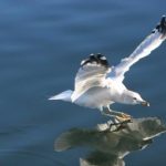 探索影音先锋:如何利用它提升你的影视观赏体验 3321tn