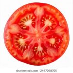 探索9uu:数字时代的创新与发展趋势 4n364dogt