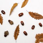 探索JMComic漫画软件官网:畅享精彩漫画世界 5ky3w68k1g