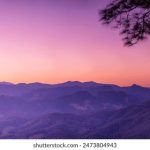 探索Hackett Portugal:时尚与传统的完美结合 62ymd