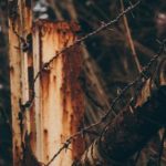 探索txvlog糖心官方网页版的精彩内容与功能 7o33l7si