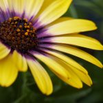 探索omofun动漫的魅力与文化影响力 97zk7hih2n