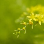 探索绅次元 免费资源站:丰富资源与精彩内容尽在掌握 9t2n7p3vl