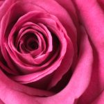 探索大米米娱乐网:美食、健康与生活的完美结合 b456g1