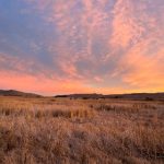 探秘神秘电影第5条线:揭开隐藏的故事与象征 dyrsa