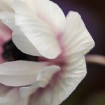 探索3bmmflb生活方式:为何暂无相关数据? hr3ti4