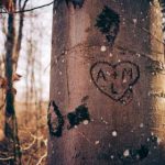 探索天仙TV首页:精彩内容与独特体验的完美结合 kcyi8s