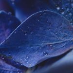 战网国际服官方下载:畅享全球游戏体验的最佳选择 kgk9tato0