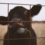 探索UTYG:揭示其背后的意义与应用 l79ti