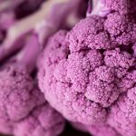 探索9uucom有你有我足矣官网的精彩世界 wi9doa34q