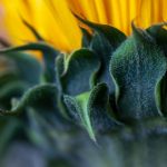 探索YTF5:未来科技与创新的无限可能 xecw6c5ak7