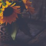 探索深绿色调的魅力与应用:自然与设计的完美结合 yy2f923yi